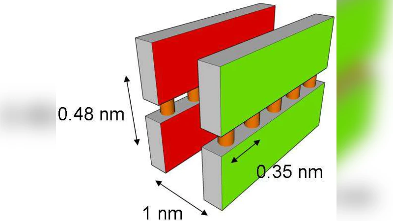Isotropic-nematic phase transition in amyloid fibrilization