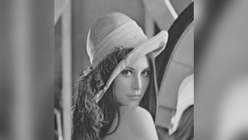 Two Types of Magnetohydrodynamic Sheath Jets