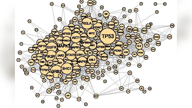 Network strategies to understand the aging process and help age-related   drug design