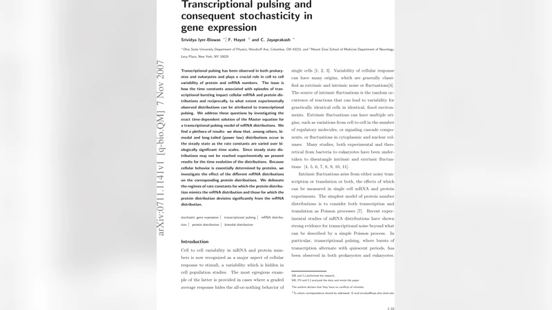 Transcriptional pulsing and consequent stochasticity in gene expression