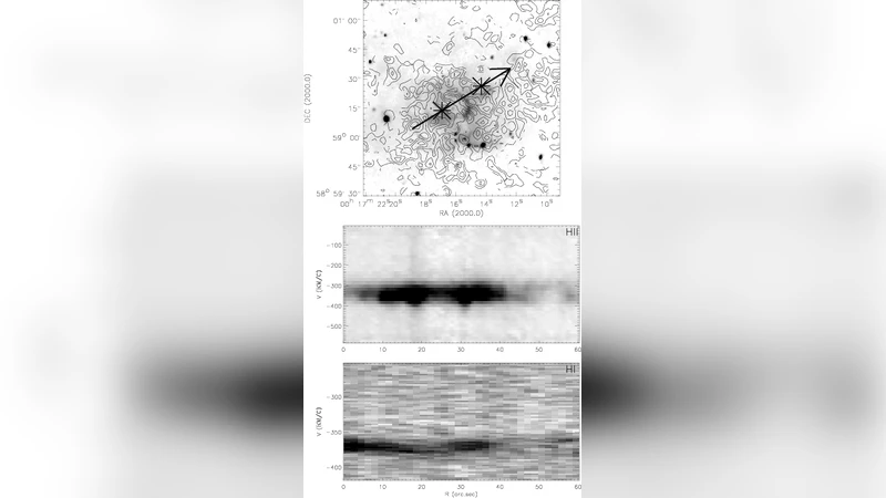 A study of the kinematics near WR-stars in the IC10 galaxy