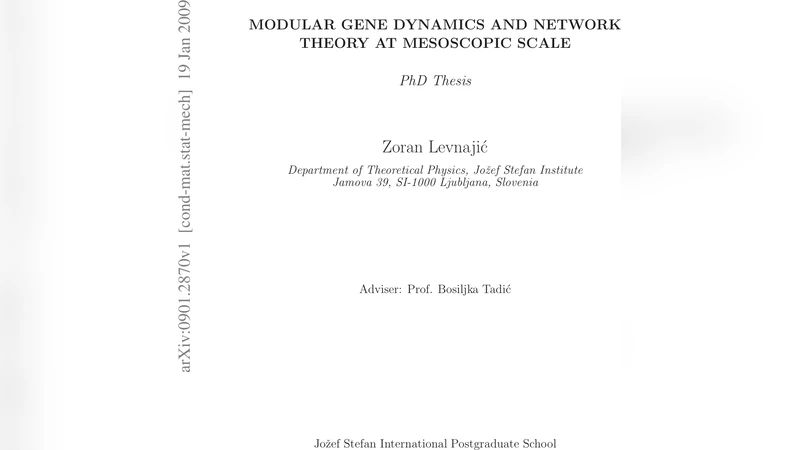 Modular Gene Dynamics and Network Theory at Mesoscopic Scale