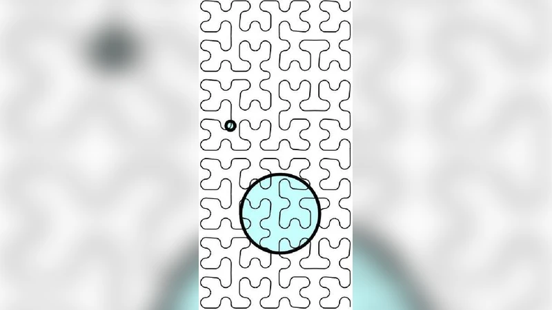 Adhesion of membranes via receptor-ligand complexes: Domain formation,   binding cooperativity, and active processes