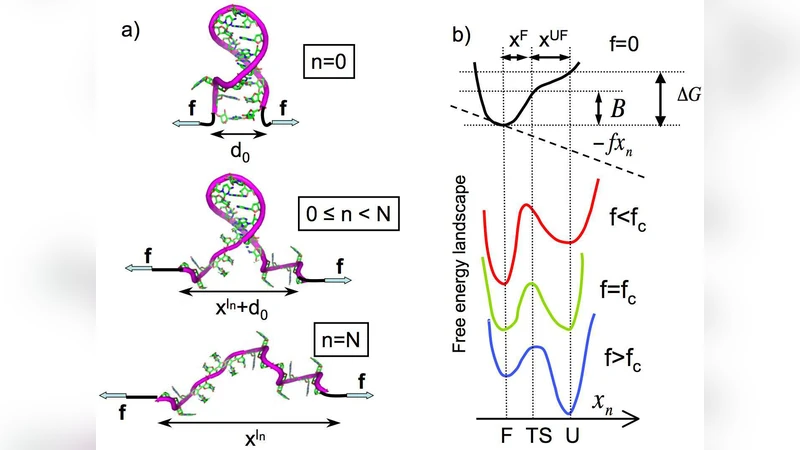 Dynamic force spectroscopy of DNA hairpins. I. Force kinetics and free   energy landscapes