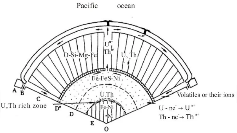 Distribution of U and Th and Their Nuclear Fission in the Outer Core of   the Earth and Their effects on the Geodynamics