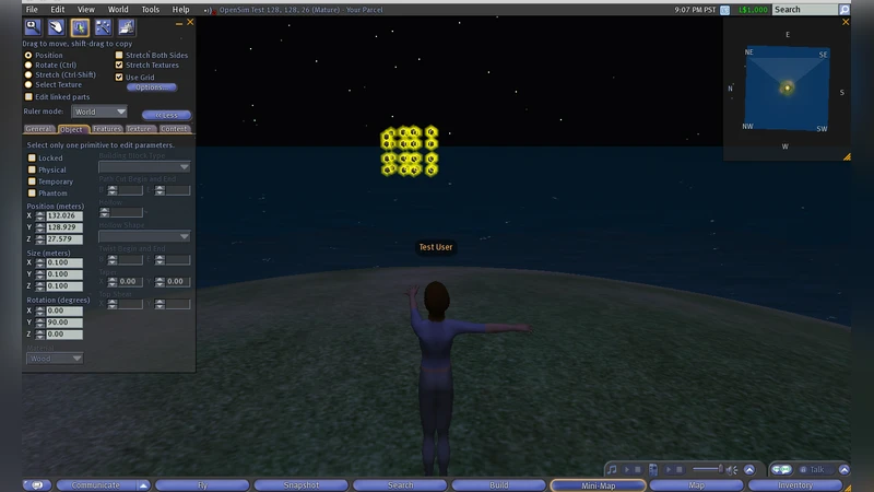 An Experiment in Using Virtual Worlds for Scientific Visualization of   Self-Gravitating Systems
