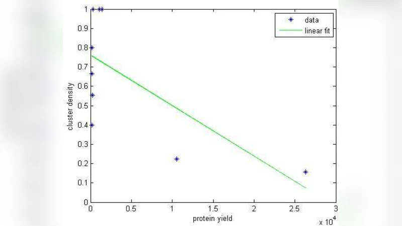 On the clustering of rare codons and its effect on translation