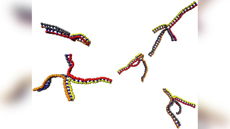 The self-assembly of DNA Holliday junctions studied with a minimal model
