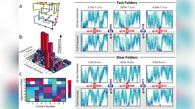 The limited role of non-native contacts in folding pathways of a lattice   protein
