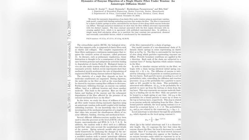 Dynamics of Enzyme Digestion of a Single Elastic Fiber Under Tension: An   Anisotropic Diffusion Model