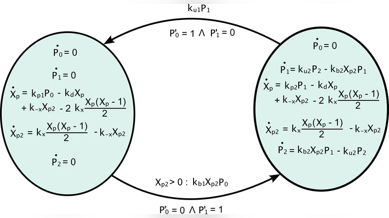 Hybrid Semantics of Stochastic Programs with Dynamic Reconfiguration