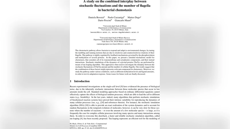 A study on the combined interplay between stochastic fluctuations and   the number of flagella in bacterial chemotaxis