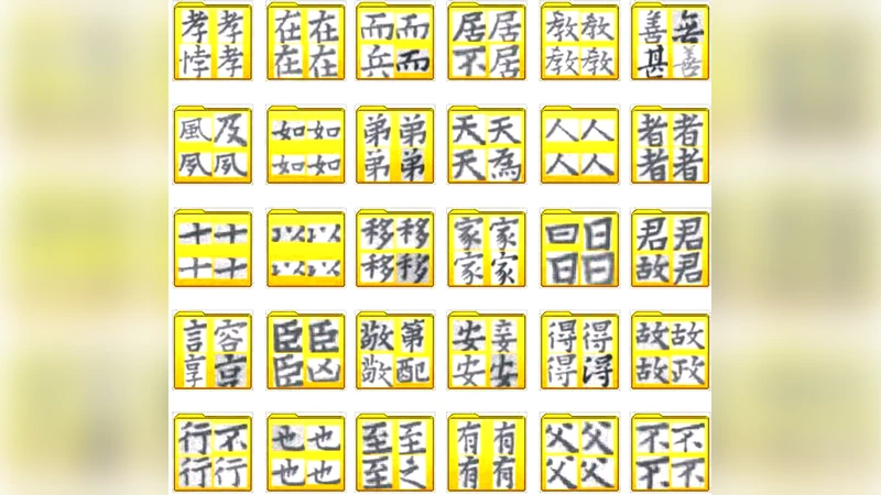 Local and global approaches of affinity propagation clustering for large   scale data