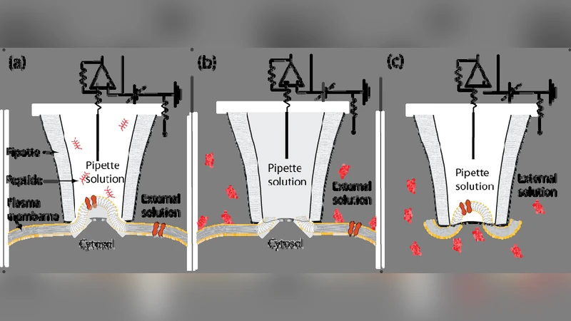 Electron swaps and the stopping of protons by hydrogen