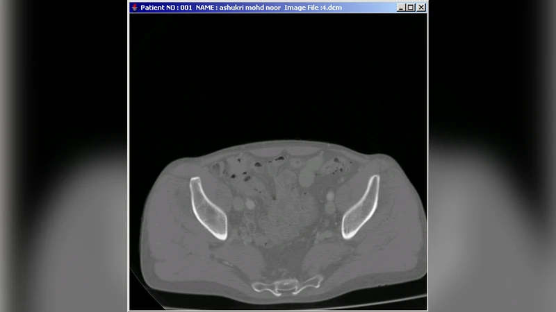 Distributed Object Medical Imaging Model