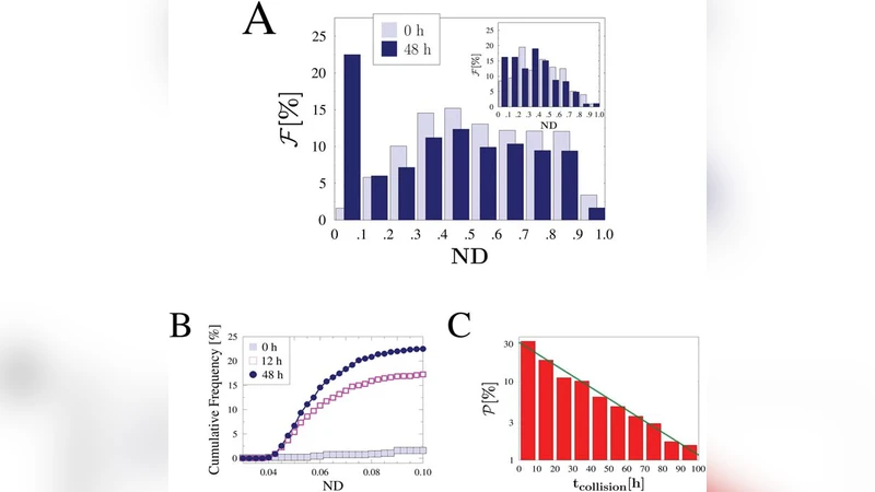 Mechanics and Dynamics of X-Chromosome Pairing at X Inactivation