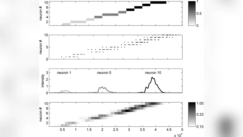 Sequence reproduction, single trial learning, and mimicry based on a   mammalian-like distributed code for time