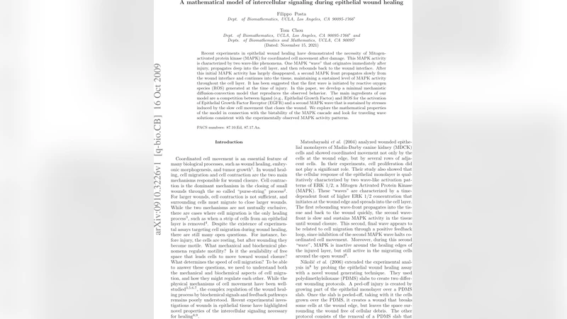 A mathematical model of intercellular signaling during epithelial wound   healing