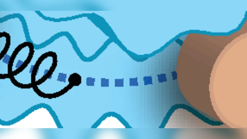 Steps in the bacterial flagellar motor