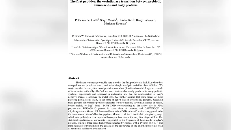 The first peptides: the evolutionary transition between prebiotic amino   acids and early proteins