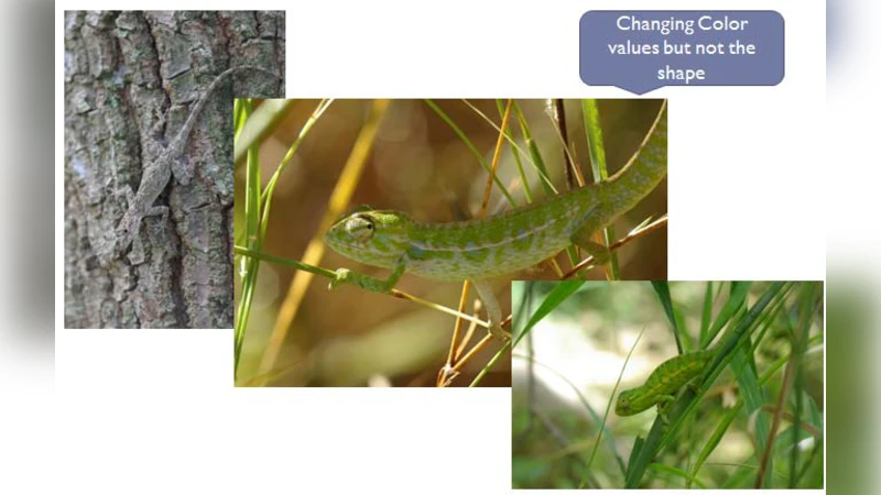 Biologically Inspired Execution Framework for Vulnerable Workflow   Systems