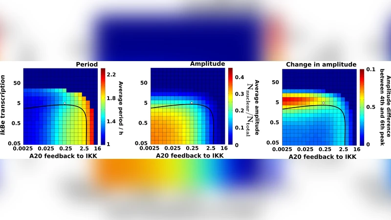 Theoretical analyses predict A20 regulates period of NF-kB oscillation