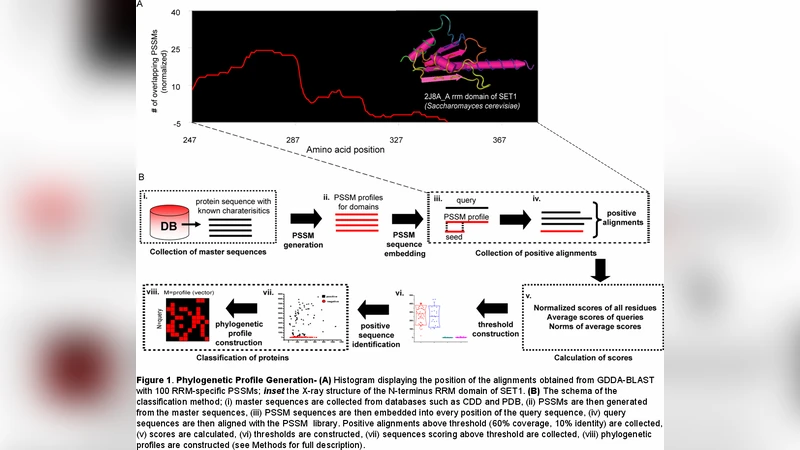 Brainstorming through the Sequence Universe: Theories on the Protein   Problem