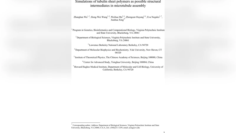 Simulations of tubulin sheet polymers as possible structural   intermediates in microtubule assembly