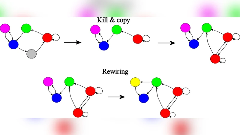 On Gene Duplication Models for Evolving Regulatory Networks