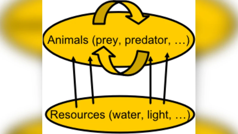Statistical mechanics and stability of a model eco-system