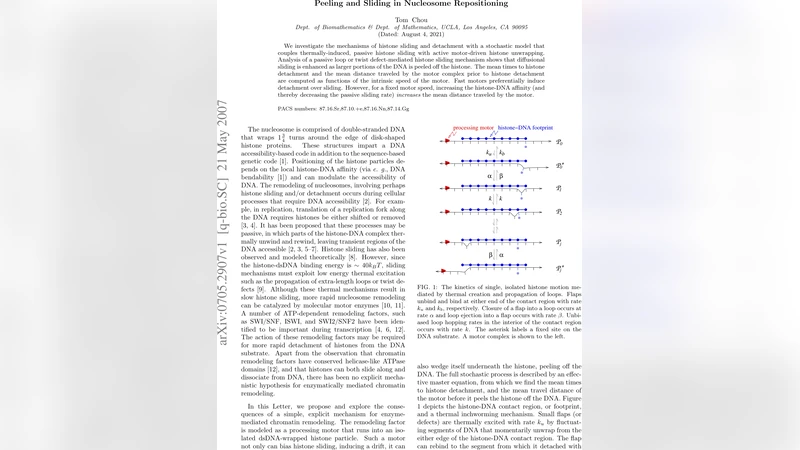 Peeling and Sliding in Nucleosome Repositioning
