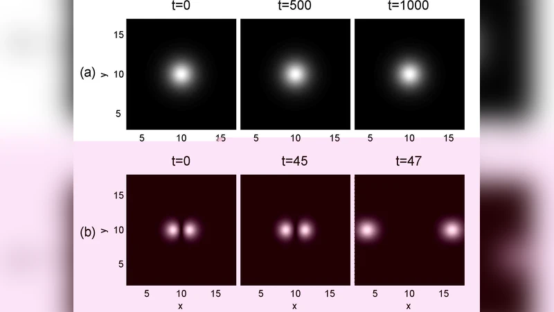 Post-orientation free single molecule imaging by XFELs