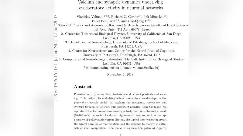 Calcium and synaptic dynamics underlying reverberatory activity in   neuronal networks