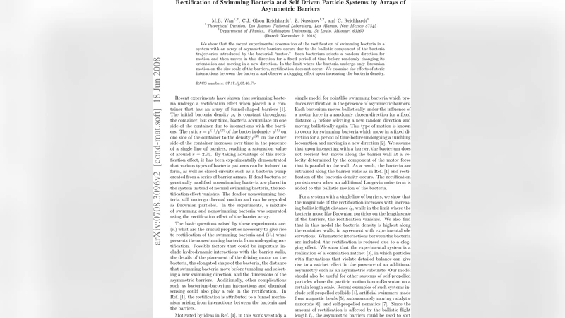 Rectification of Swimming Bacteria and Self Driven Particle Systems by   Arrays of Asymmetric Barriers