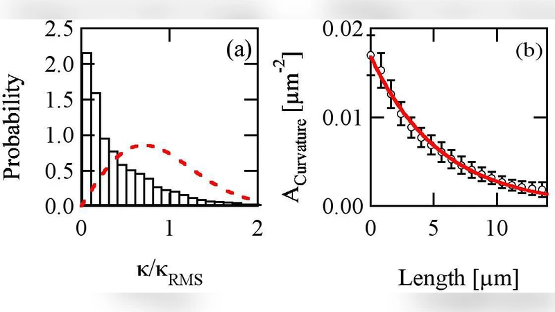 Curvature and torsion in growing actin networks