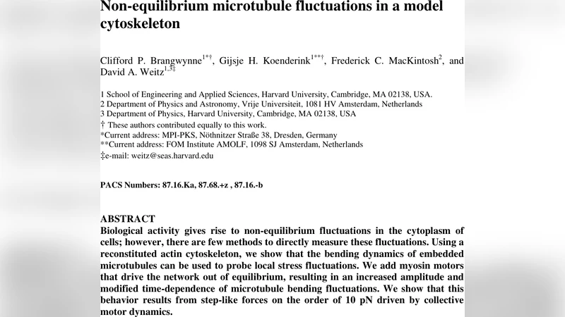 Non-equilibrium microtubule fluctuations in a model cytoskeleton