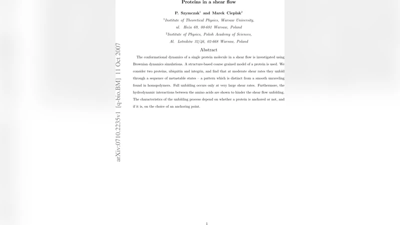 Proteins in a shear flow