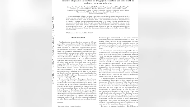 Influence of synaptic interaction on firing synchronization and spike   death in excitatory neuronal networks
