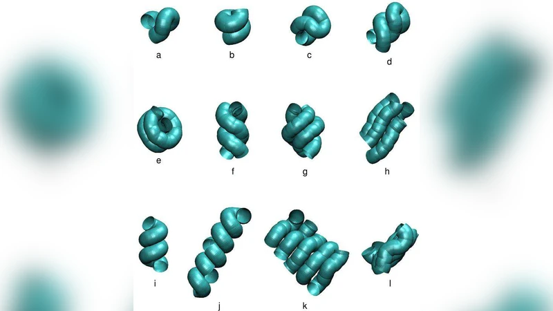 Structural motifs of biomolecules