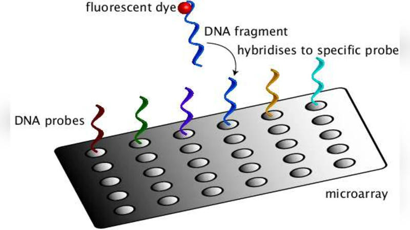 Dynamics of gene expression and the regulatory inference problem