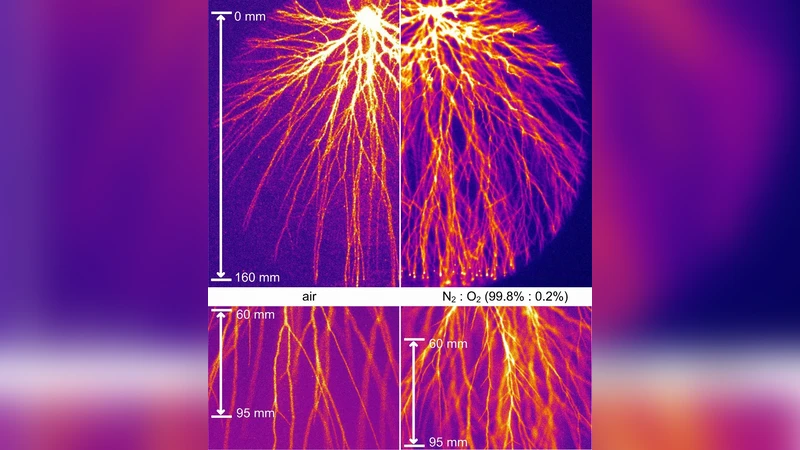 Positive streamers in ambient air and a N2:O2-mixture (99.8 : 0.2)