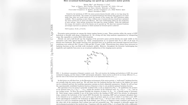 How occasional backstepping can speed up a processive motor protein