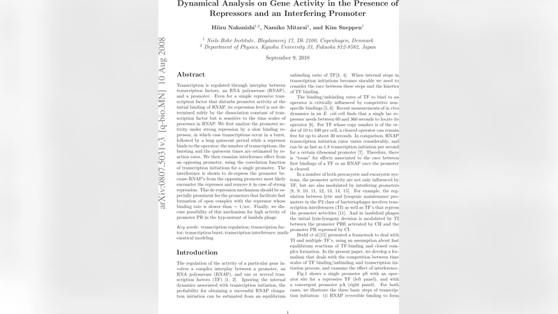 Dynamical Analysis on Gene Activity in the Presence of Repressors and an   Interfering Promoter