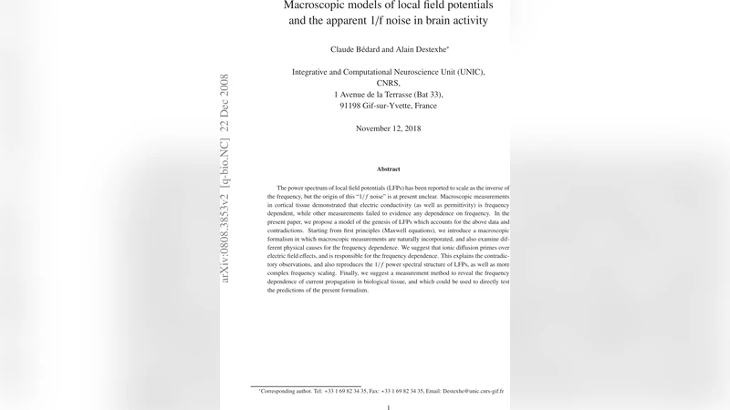 Macroscopic models of local field potentials and the apparent 1/f noise   in brain activity