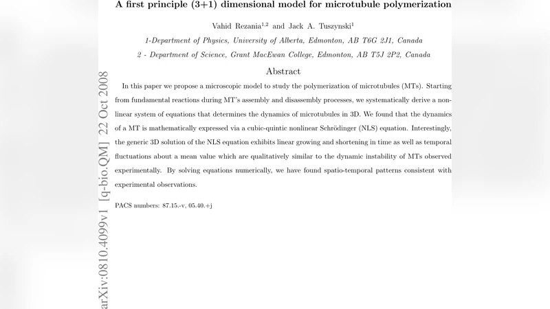 A first principle (3+1) dimensional model for microtubule polymerization
