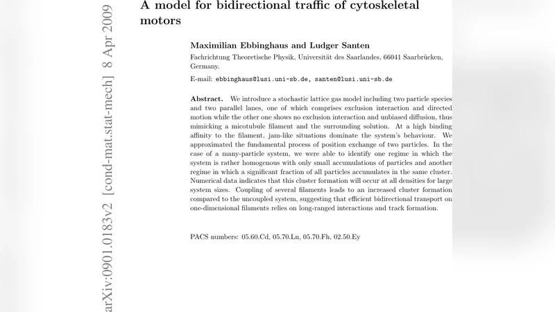 A model for bidirectional traffic of cytoskeletal motors