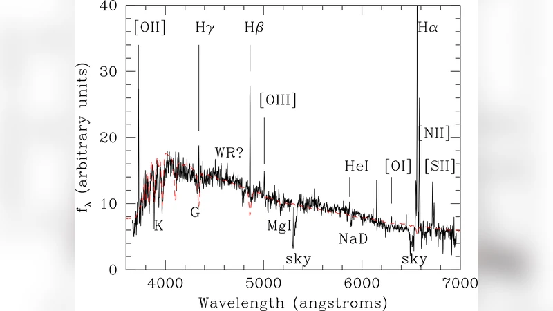 A forming, dust enshrouded disk at z=0.43: the first example of a late   type disk rebuilt after a major merger?