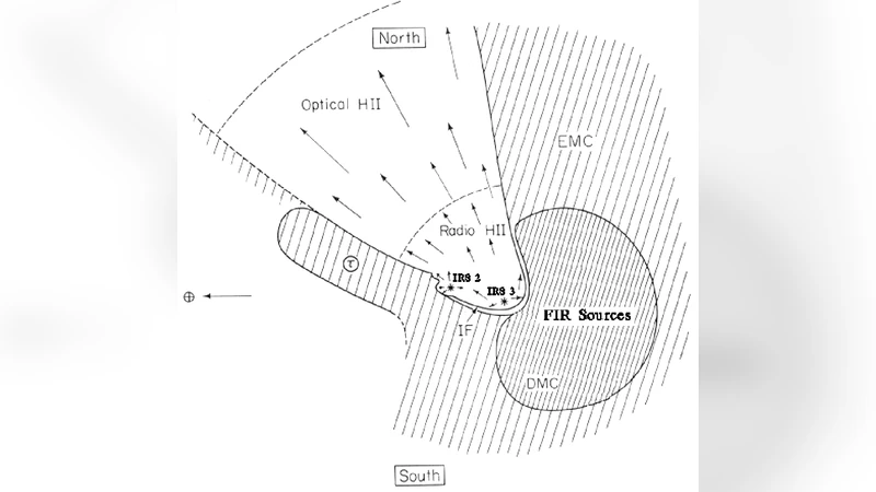 The molecular environment of the massive star forming region NGC 2024:   Multi CO transition analysis
