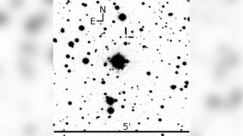 2XMMi J225036.9+573154 - a new eclipsing AM Her binary discovered using   XMM-Newton