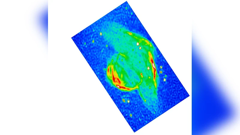 On the metal abundances inside mixed-morphology supernova remnants: the   case of IC443 and G166.0+4.3